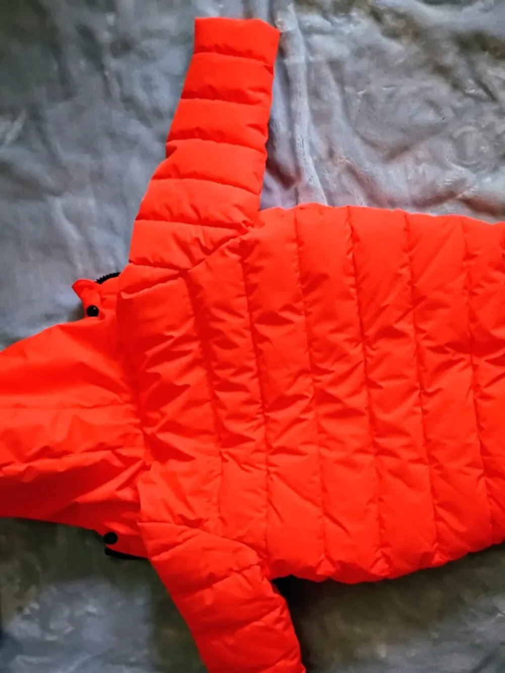 Perry Ellis toddler coat